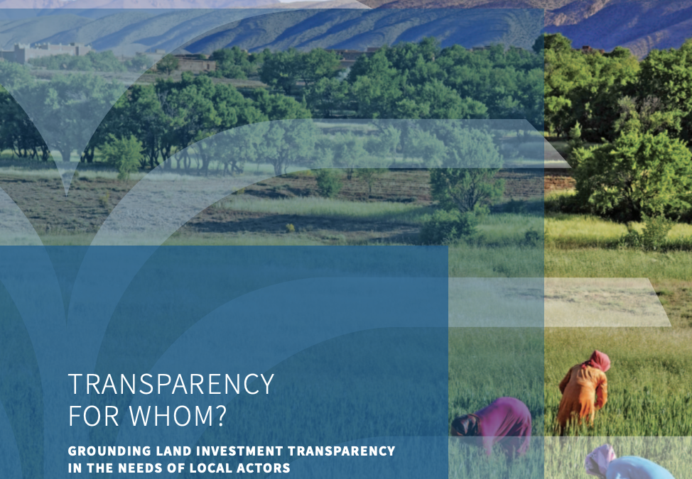 Transparency for Whom?