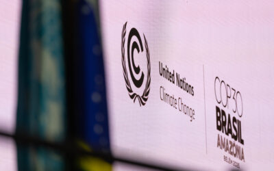 REP to highlight Indigenous Peoples-Led Renewable Energy at COP30