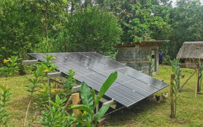 UN Declares International Day of Clean Energy to Accelerate a Just Energy Transition